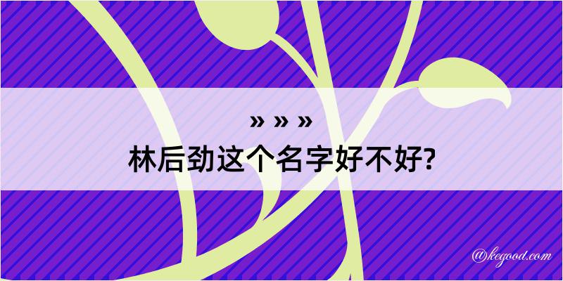 林后劲这个名字好不好?