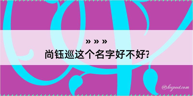 尚钰巡这个名字好不好?