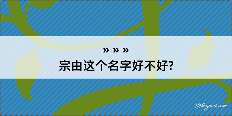 宗由这个名字好不好?