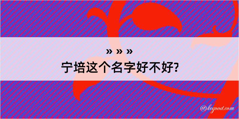 宁培这个名字好不好?