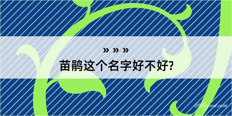 苗鹃这个名字好不好?