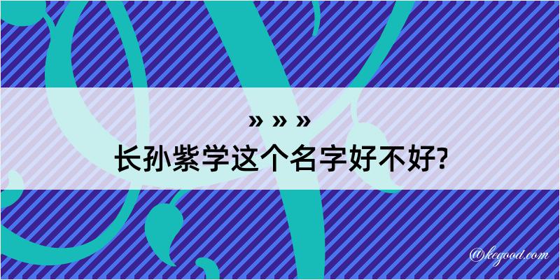 长孙紫学这个名字好不好?