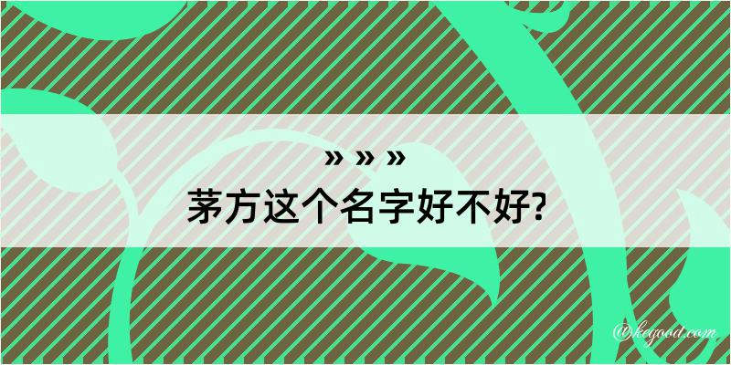 茅方这个名字好不好?