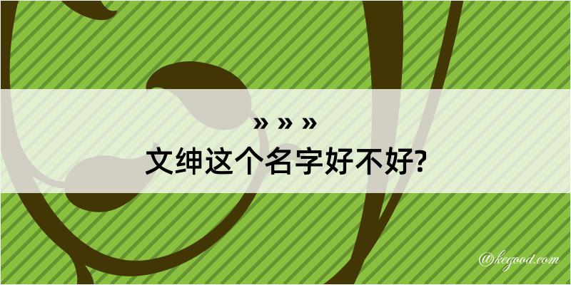 文绅这个名字好不好?