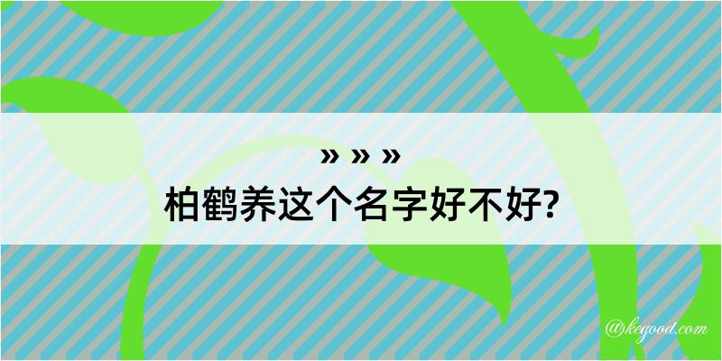 柏鹤养这个名字好不好?