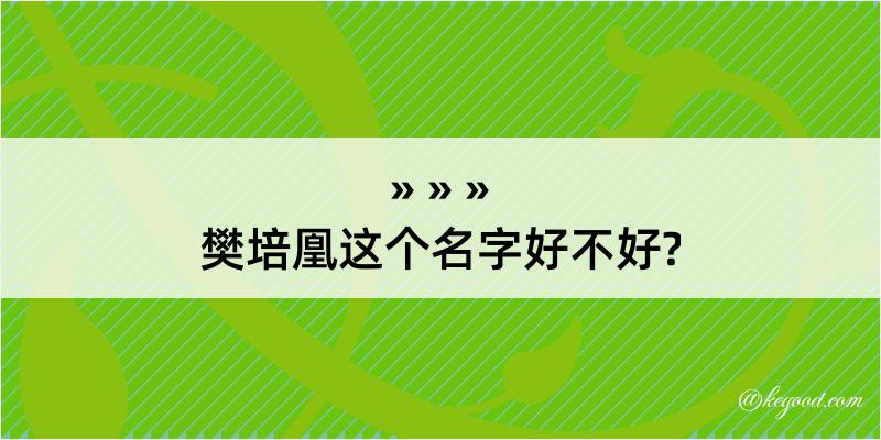 樊培凰这个名字好不好?