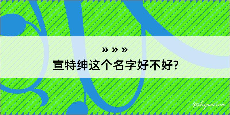 宣特绅这个名字好不好?