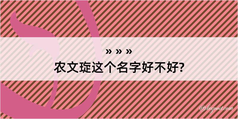 农文琁这个名字好不好?