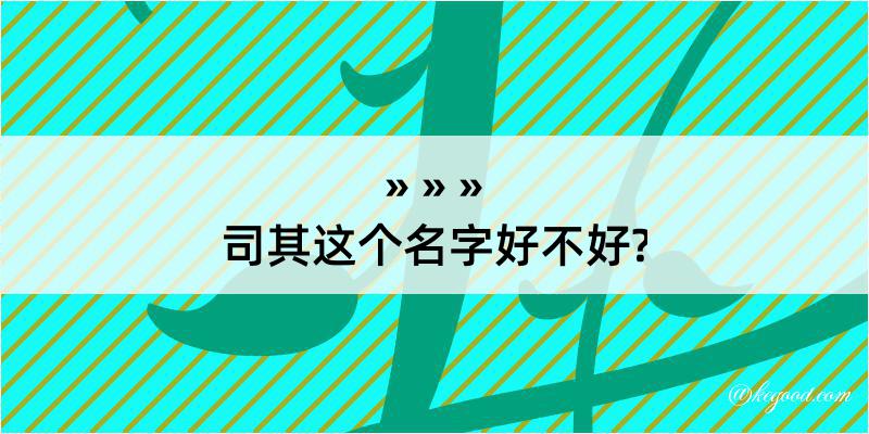 司其这个名字好不好?