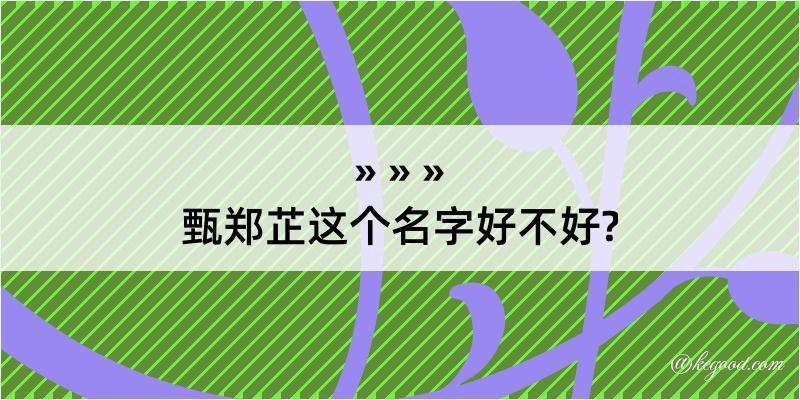 甄郑芷这个名字好不好?