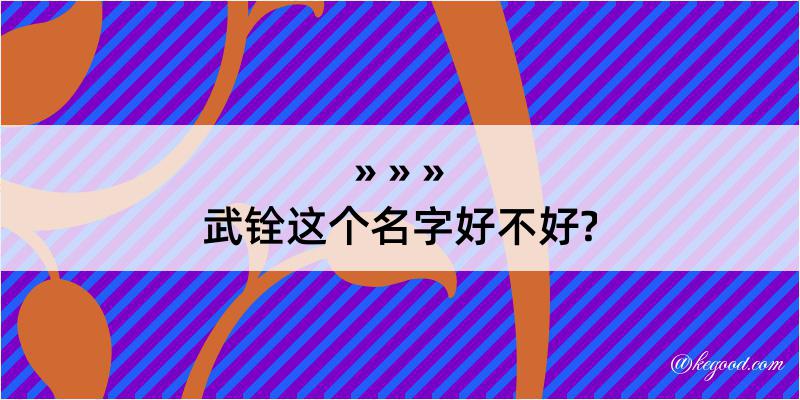 武铨这个名字好不好?