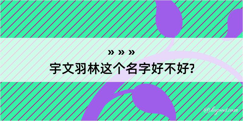 宇文羽林这个名字好不好?