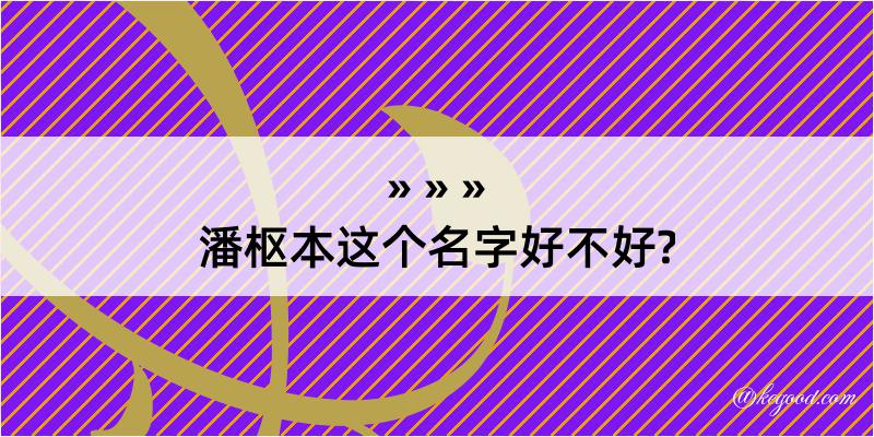 潘枢本这个名字好不好?