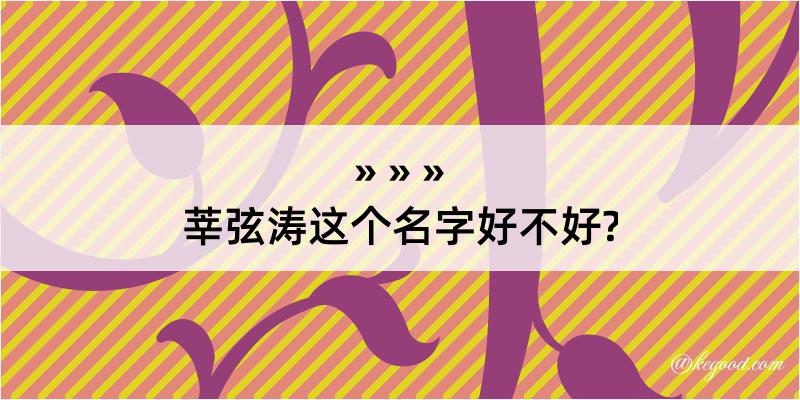 莘弦涛这个名字好不好?