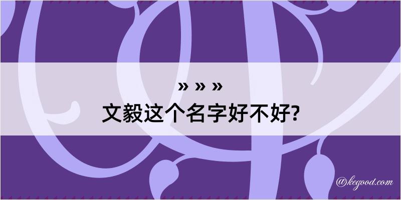 文毅这个名字好不好?