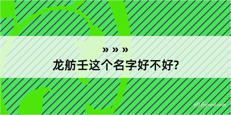 龙舫壬这个名字好不好?