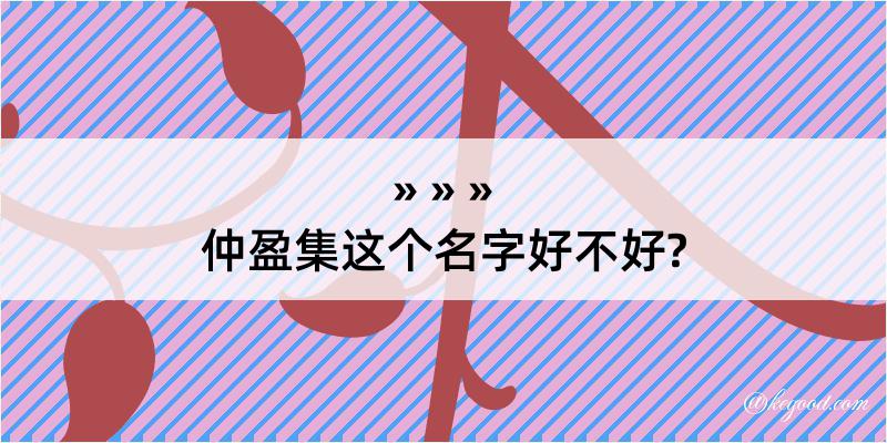 仲盈集这个名字好不好?