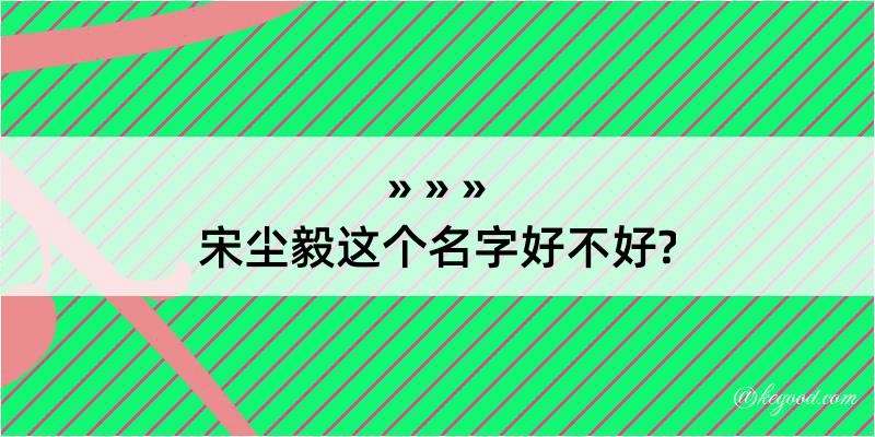 宋尘毅这个名字好不好?