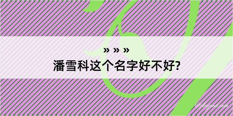 潘雪科这个名字好不好?