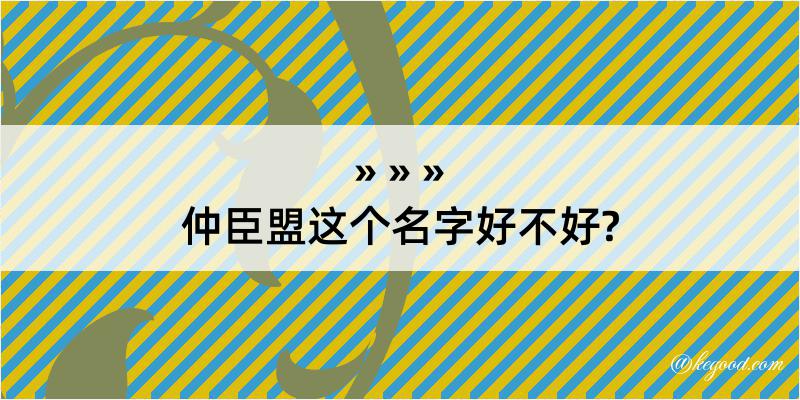 仲臣盟这个名字好不好?