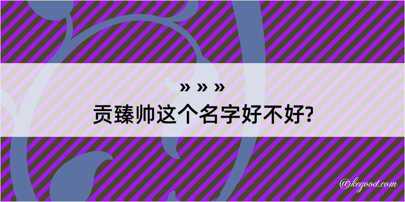 贡臻帅这个名字好不好?