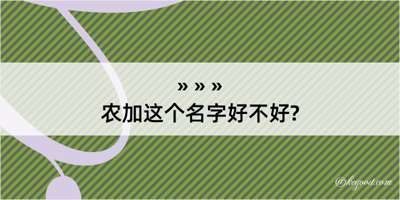 农加这个名字好不好?