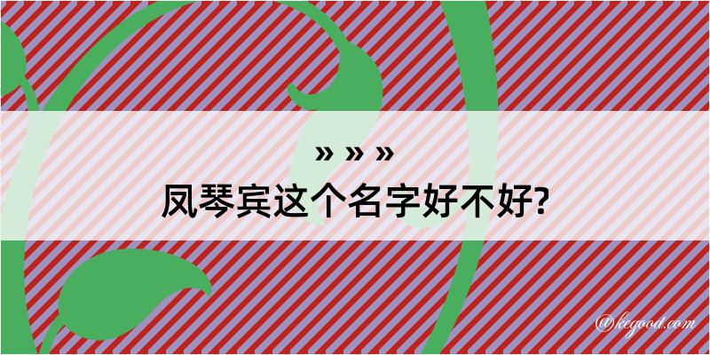 凤琴宾这个名字好不好?