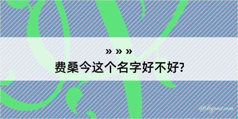 费桑今这个名字好不好?