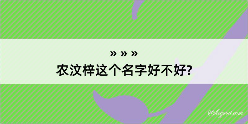 农汶梓这个名字好不好?