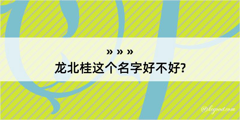 龙北桂这个名字好不好?