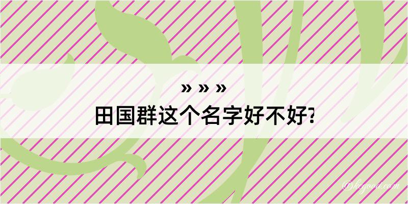 田国群这个名字好不好?