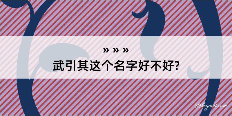 武引其这个名字好不好?