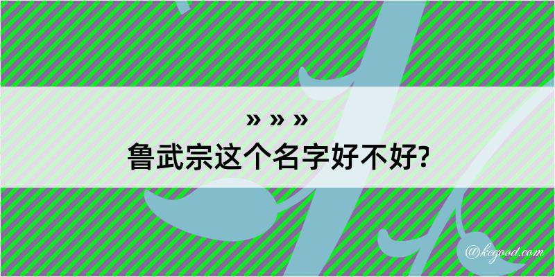 鲁武宗这个名字好不好?