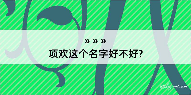 项欢这个名字好不好?