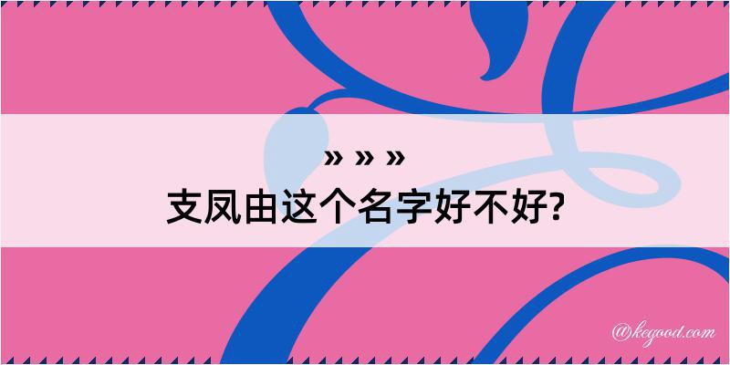 支凤由这个名字好不好?