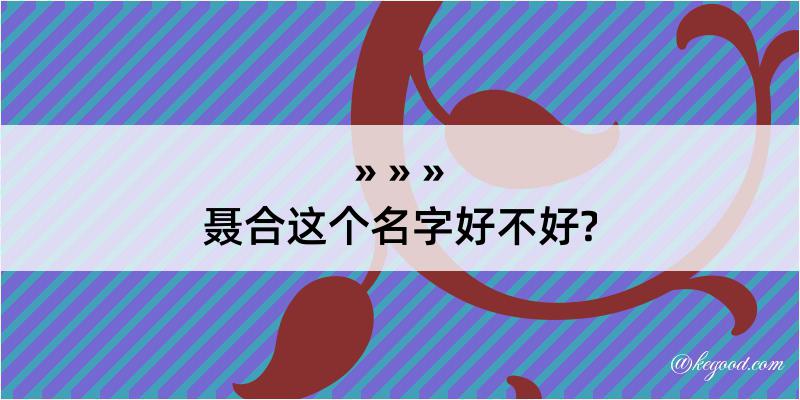 聂合这个名字好不好?