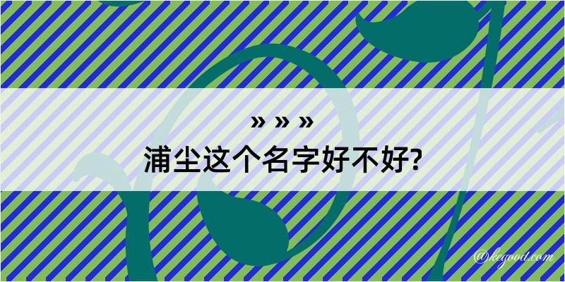 浦尘这个名字好不好?