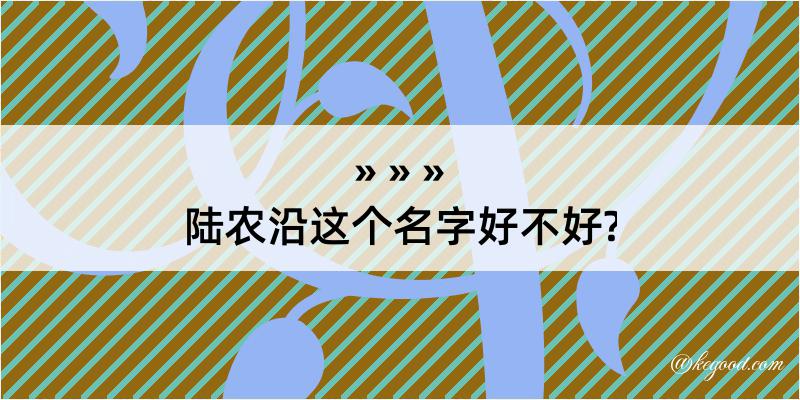 陆农沿这个名字好不好?