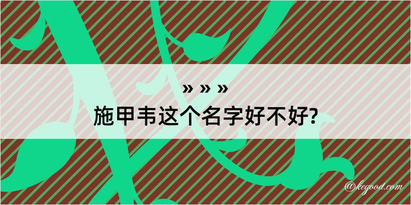 施甲韦这个名字好不好?