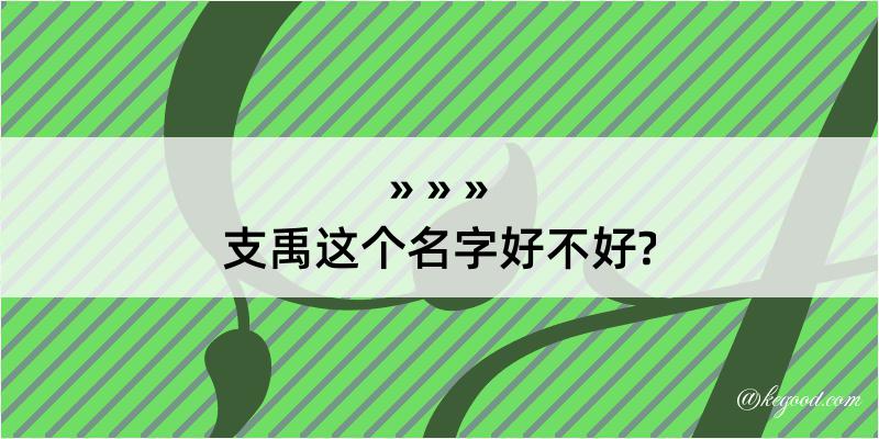 支禹这个名字好不好?