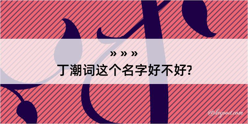 丁潮词这个名字好不好?