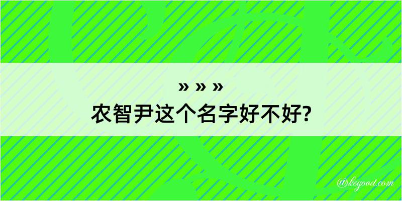 农智尹这个名字好不好?