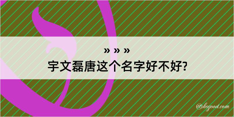 宇文磊唐这个名字好不好?