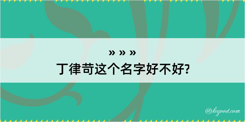 丁律苛这个名字好不好?