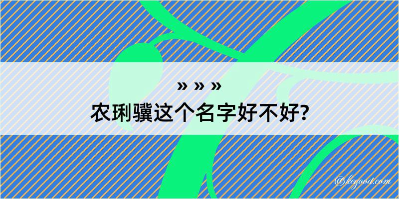 农琍骥这个名字好不好?