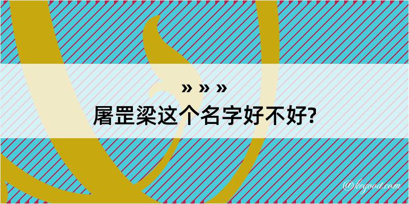 屠罡梁这个名字好不好?