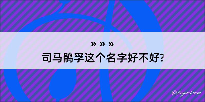 司马鹃孚这个名字好不好?