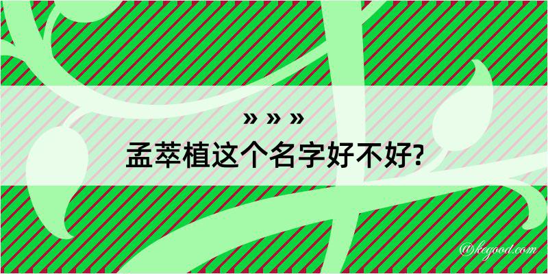 孟萃植这个名字好不好?