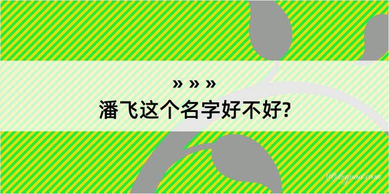 潘飞这个名字好不好?