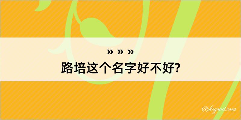 路培这个名字好不好?